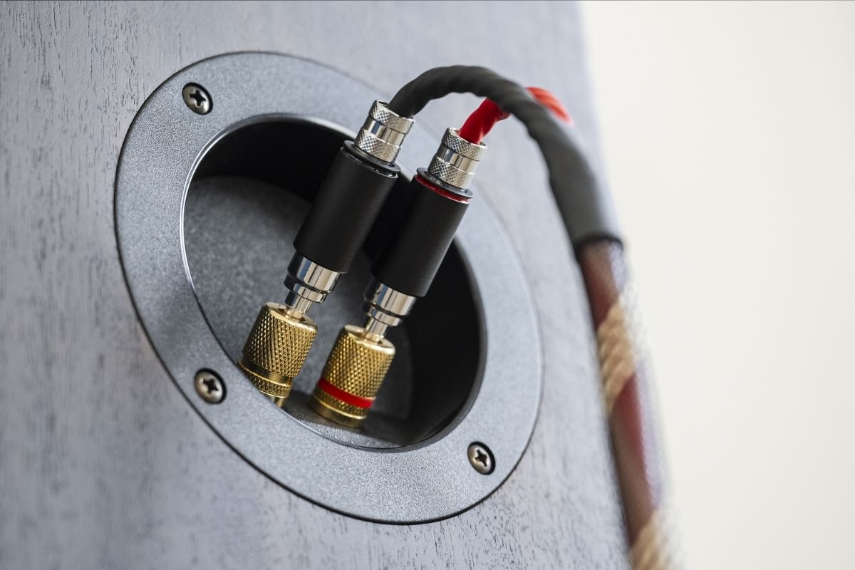 Detailaufnahme von Lautsprecheranschlüssen mit vergoldeten Schraubklemmen (Bananenstecker) und angeschlossenem HiFi-Lautsprecherkabel an der Rückseite eines Lautsprechers.